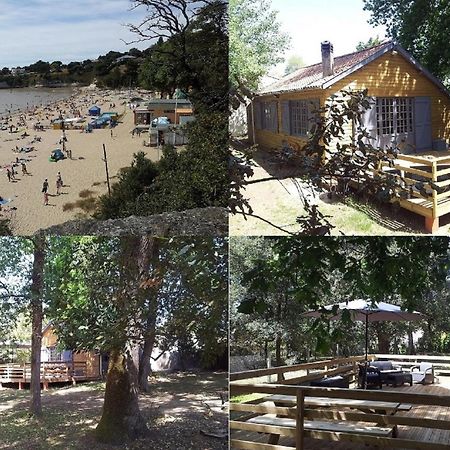 La Palombiere, Plage A 150M 메쉐르-수르-지롱드 외부 사진