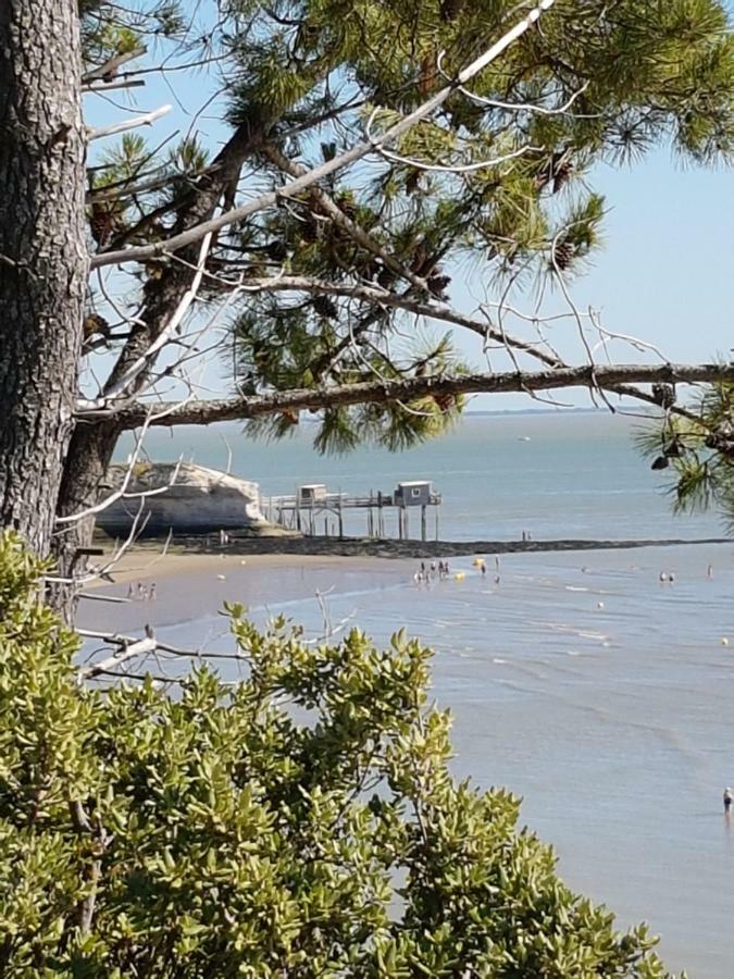 La Palombiere, Plage A 150M 메쉐르-수르-지롱드 외부 사진